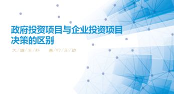 政府投资项目与企业投资项目决策在实业投资领域的差异剖析