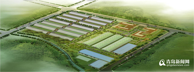 13个现代农业项目落户西海岸，总投资52亿元